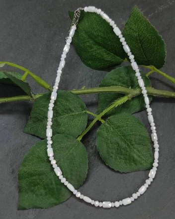 1  ε  κολιε (1)